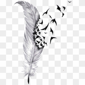 Feather And Bird Tattoo Designs, HD Png Download - bird drawing png