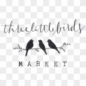3 Little Birds Drawings, HD Png Download - bird drawing png