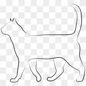 Shorthair Cat Lps Transparent, HD Png Download - vhv