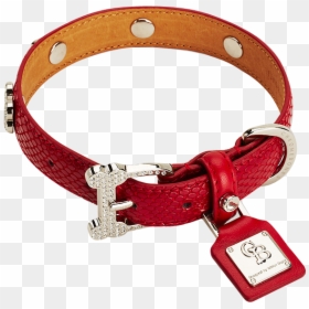 Transparent Dog Accessories Png, Png Download - red diamonds png
