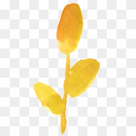 Watercolor Yellow Png, Transparent Png - flower petals falling png