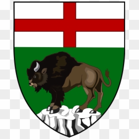 Manitoba's Shield Of Arms, HD Png Download - cartoon shield png