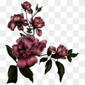 Maroon Flowers Transparent Background, HD Png Download - anime rose png