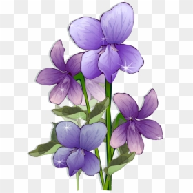 Beautiful Hd Flower Frames, HD Png Download - anime rose png
