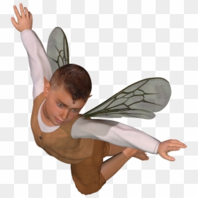 Boy Fairy, HD Png Download - disney fairy png