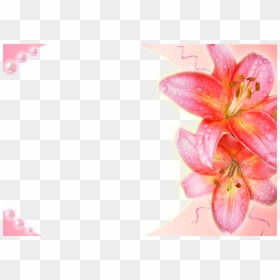 Photoshop, HD Png Download - 3d background png
