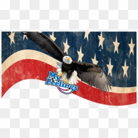 Bald Eagle, HD Png Download - fascist eagle png