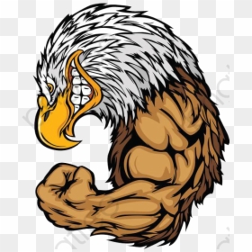 Bald Eagle, HD Png Download - fascist eagle png