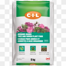 Cil Aluminum Sulphate, HD Png Download - evergreen shrub png