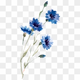Watercolor Flower Transparent Backgrounds, HD Png Download - watercolor plant png