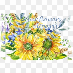 Sunflower Clip Art, HD Png Download - watercolor plant png