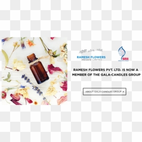 Ramesh Flower Pvt Ltd, HD Png Download - flower chain png