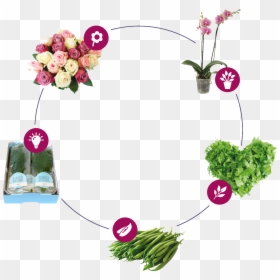 Bouquet, HD Png Download - flower chain png