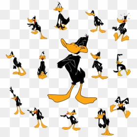 Daffy Duck Looney Toon Character, HD Png Download - duck face png