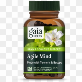 Gaia Herbs, HD Png Download - ginkgo tree png