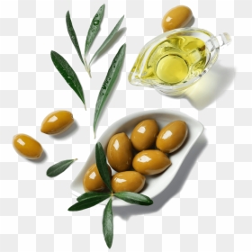 Olive, HD Png Download - olive leaves png