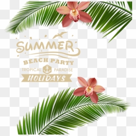 Summer Party Vector Png, Transparent Png - beach clip art png