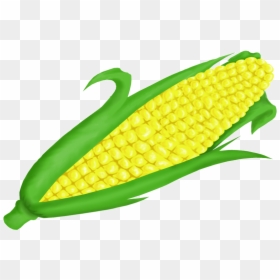 Corn Clipart, HD Png Download - sweet 15 png