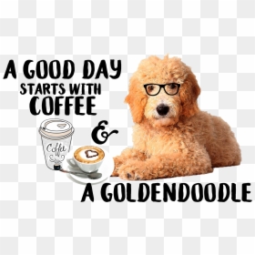 Poodle, HD Png Download - golden doodle png