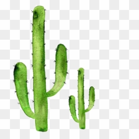 Transparent Background Cactus Transparent, HD Png Download - cactus.png