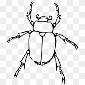 Drawing Of A Bug, HD Png Download - lorax trees png