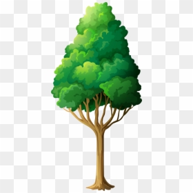 Frog Under The Tree, HD Png Download - lorax trees png