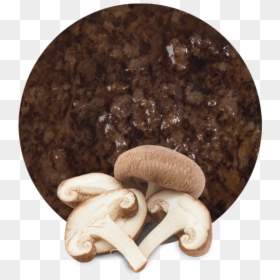 Mushroom Is Good Or Bad For Pregnant, HD Png Download - shiitake mushroom png