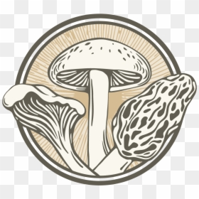 Shiitake, HD Png Download - shiitake mushroom png