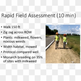 Nordic Walking, HD Png Download - milkweed png