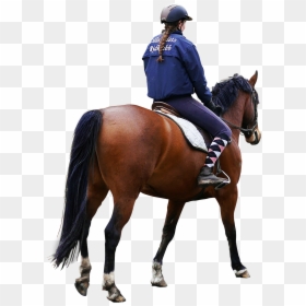 Riding Horse Png, Transparent Png - 3d people png