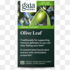 Gaia Herbs, HD Png Download - olive leaf png