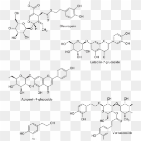 Anthraquinone Dyes Examples, HD Png Download - olive leaf png