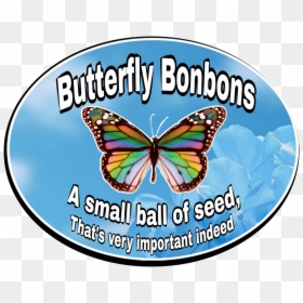 Butterfly, HD Png Download - milkweed png