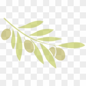 Olive, HD Png Download - olive leaf png