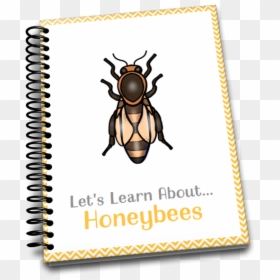 Scarabs, HD Png Download - buzzing bee png