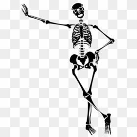 Skeleton Clipart Png, Transparent Png - snake skeleton png