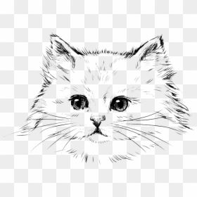 Black And White Cat Free Drawing, HD Png Download - black cat ears png