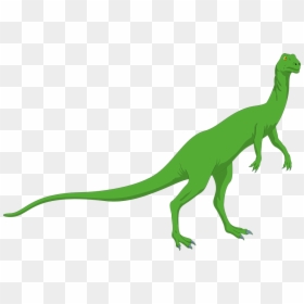 Long Necked Green Dinosaur, HD Png Download - dinosaur footprints png