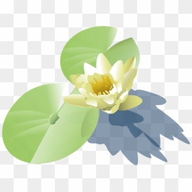 Lily Pad Clip Art, HD Png Download - easter lilies png