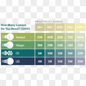 Light Bulb Brightness Guide, HD Png Download - green light bulb png