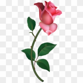 Pink Single Rose Png, Transparent Png - flower bud png