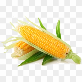Corn Png, Transparent Png - corn kernel png