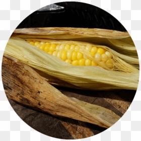 Corn Kernels, HD Png Download - corn kernel png