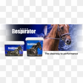 Respiratory System, HD Png Download - respirator png