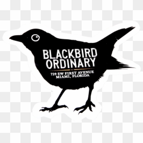 Blackbird Ordinary Miami Logo, HD Png Download - chilly willy png