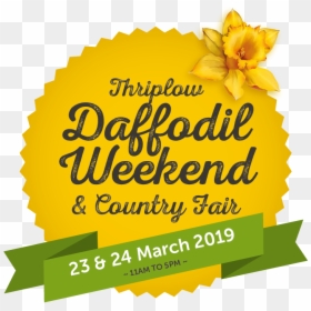 Thriplow Daffodil Weekend 2019, HD Png Download - narcissus png