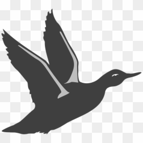 Bird Take Off Silhouette, HD Png Download - geese flying png