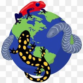 Amphibiaweb Logo, HD Png Download - arturo vidal png