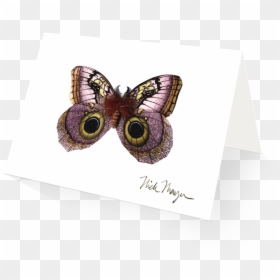 American Painted Lady, HD Png Download - moth wings png