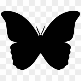 Butterfly Icon, HD Png Download - moth wings png